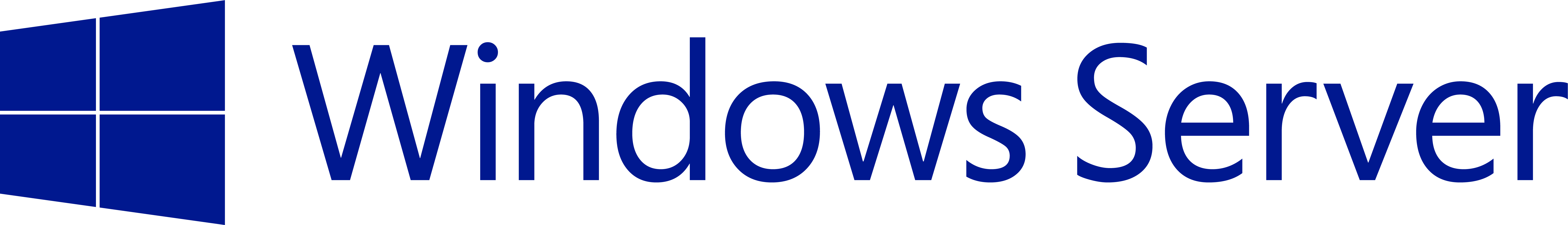 Windows Server Logo