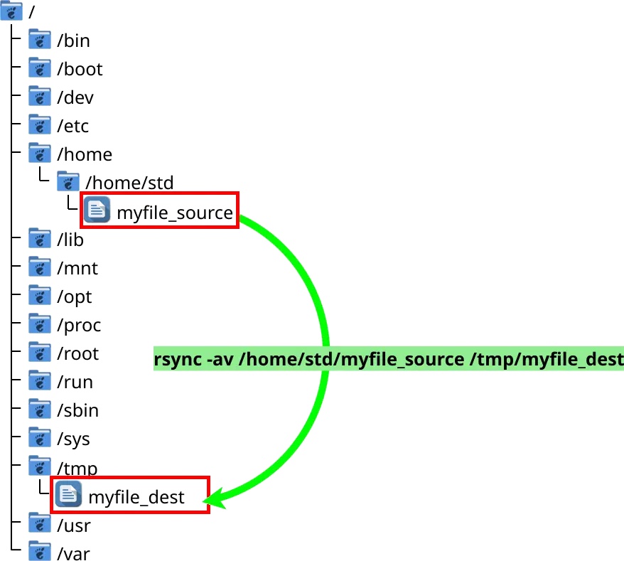 une représentation graphique de la structure des dossiers Linux avec la copie rsync d'un fichier /home/std/myfile_source vers /tmp/myfile_dest