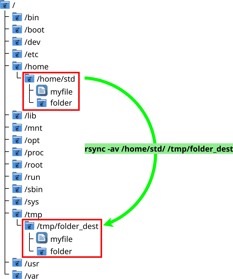 une représentation graphique de la structure des dossiers Linux avec la copie rsync d'un dossier /home/std vers /tmp/