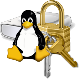 Logo Linux devant le logo bitlocker