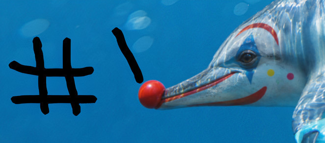 Dauphin sous l’eau grimé en clown, avec un nez rouge, un maquillage coloré et le symbole STD