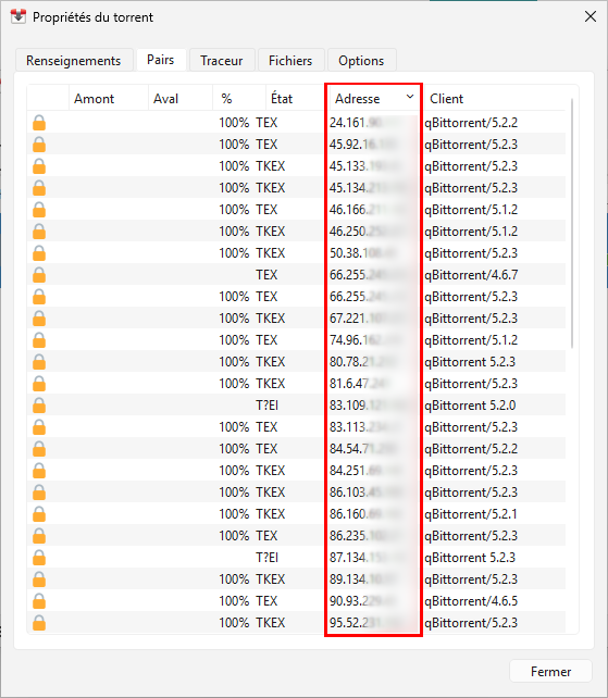 Propriétés d’un torrent dans Transmission affichant l’onglet Peers avec les adresses IP des pairs et les informations sur leur client BitTorrent