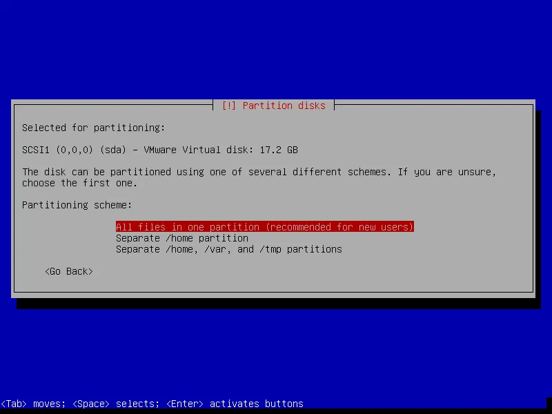 debian netinstall disk configuration