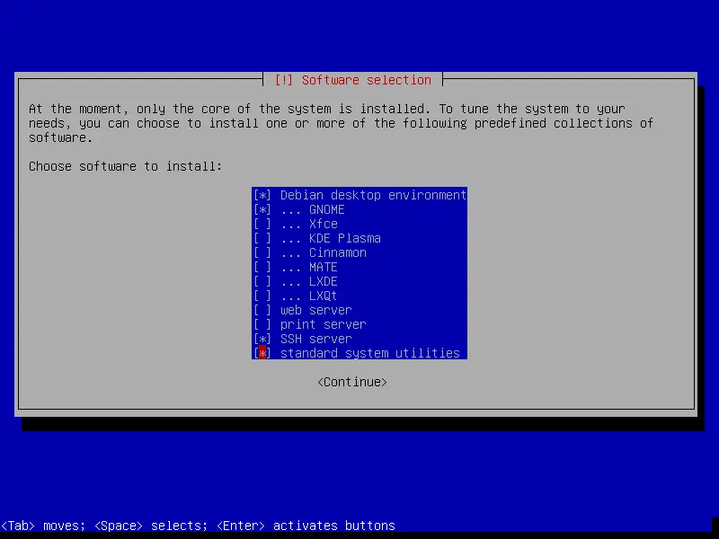 debian netinstall software selection