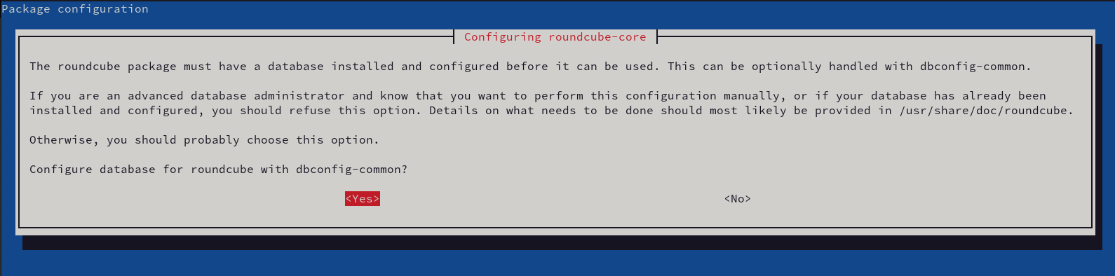 Rouncube package installation process on a Debian asking to configure database