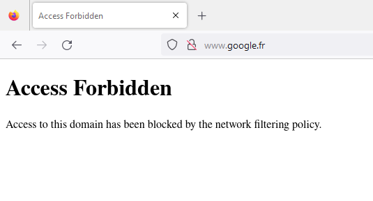 Firefox displaying the custom Access Forbidden page after a blocked domain is redirected to the local web server