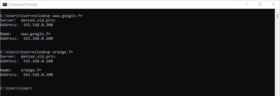 Screenshot of Windows Command Prompt (CMD) window with two 'nslookup' commands