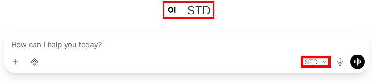 Open WebUI New Chat interface showing the preconfigured STD model selected from the model list