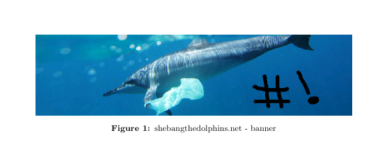 Banner example in LaTeX featuring an image of a dolphin with custom annotation and caption 'shebangthedolphins.net - banner'