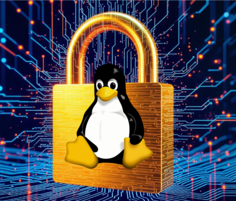Linux Tux logo sitting on a golden padlock, symbolizing file and disk encryption security.