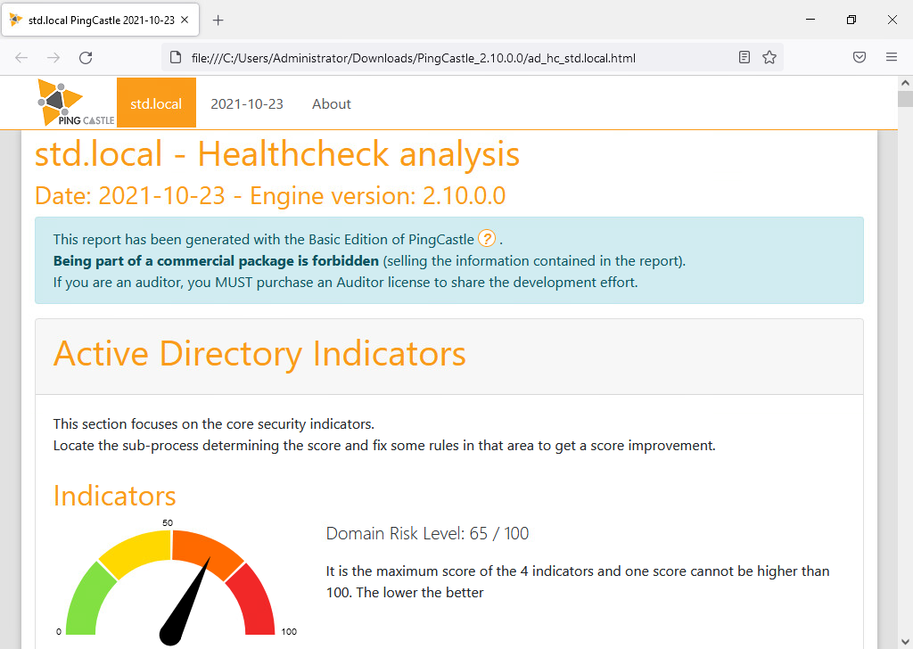 Ping Castle healthcheck report for the domain std.local, showing the date, engine version, and Active Directory risk indicators with a score of 65/100.