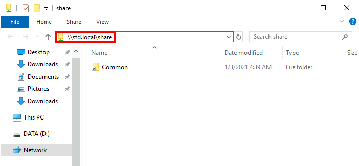 Screenshot of the file explorer showing the \\std.local\share directory with the Common folder inside.