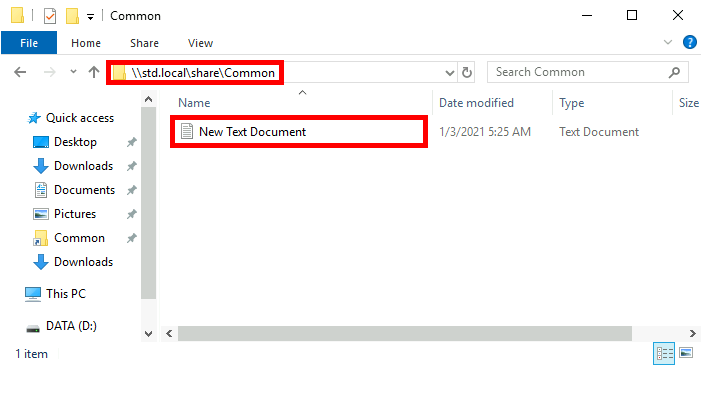 Screenshot of the file explorer showing the \\std.local\share\Common directory with a New Text Document created inside.