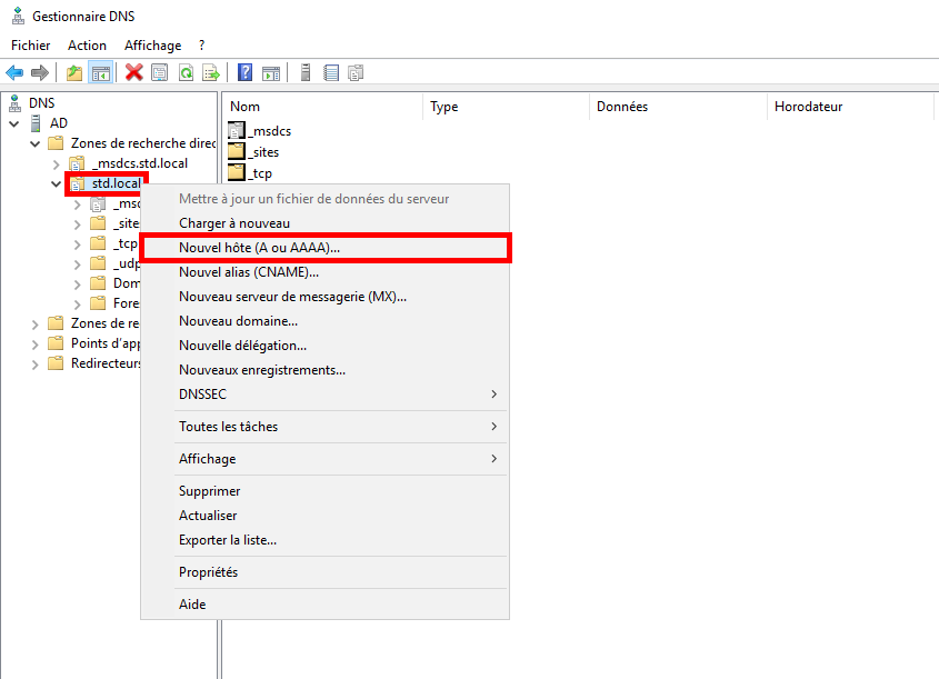 Screenshot of the DNS Manager window, showing the context menu with the option 'New Host (A or AAAA)' highlighted under the 'std.local' domain.