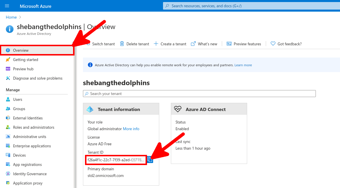 Azure Portal | Overview menu, tenant id