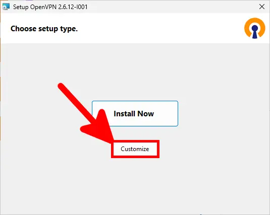 OpenVPN setup window with an arrow pointing to the 'Customize' option under 'Choose setup type.