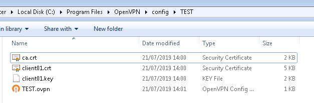 openvpn files on a windows host