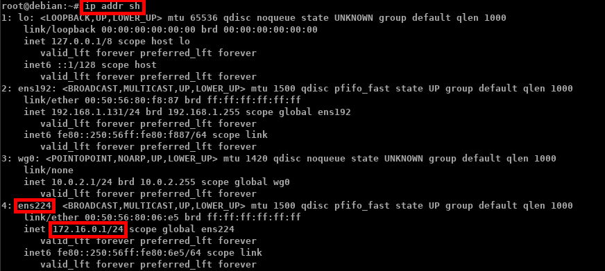 VPN WireGuard | Debian server, ip addr sh